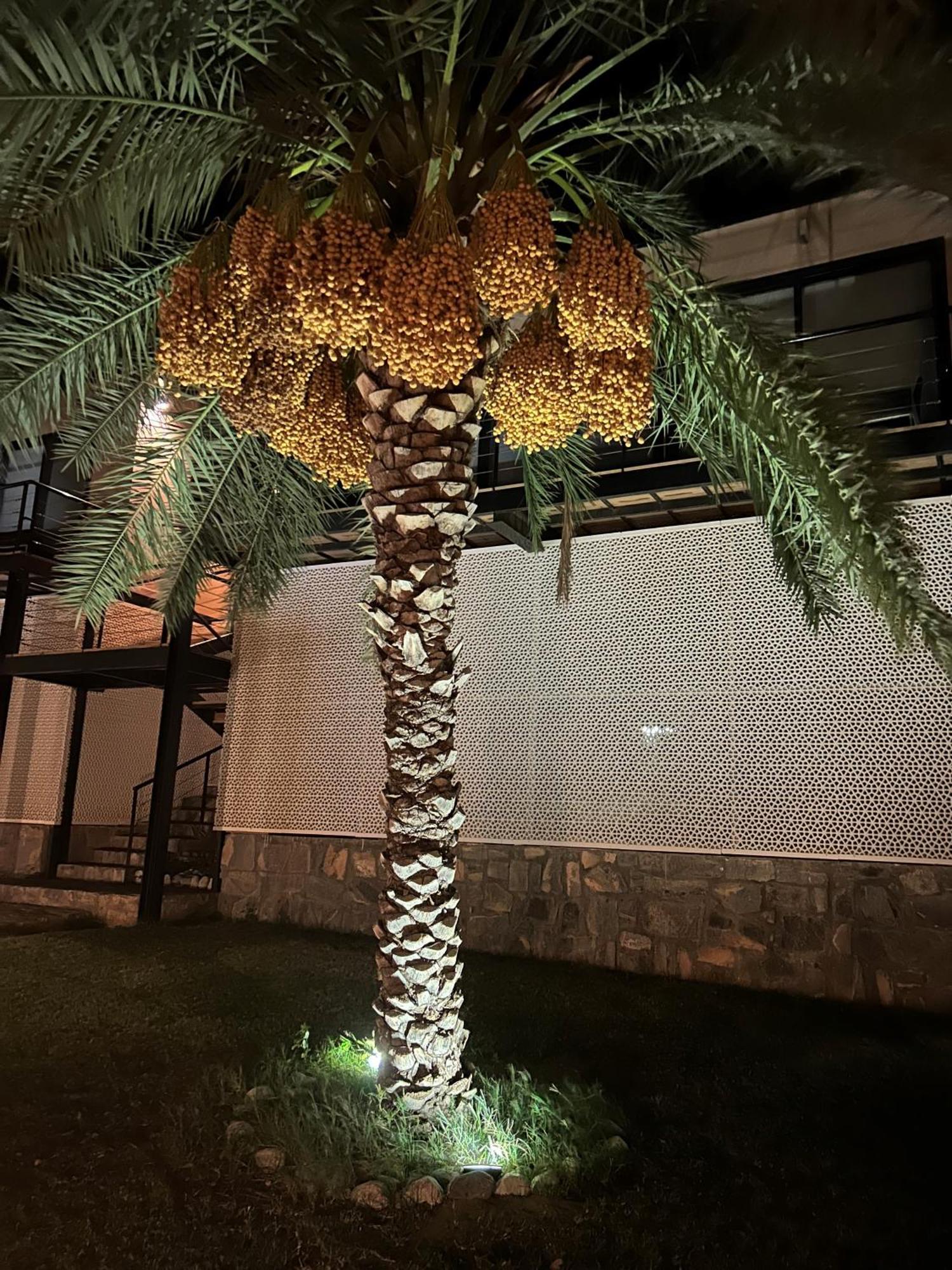 The View Hotel Al Ḩamrāʼ Kültér fotó